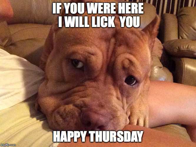 Ginger wish good day | IF YOU WERE HERE I WILL LICK  YOU; HAPPY THURSDAY | image tagged in ginger wish good day | made w/ Imgflip meme maker