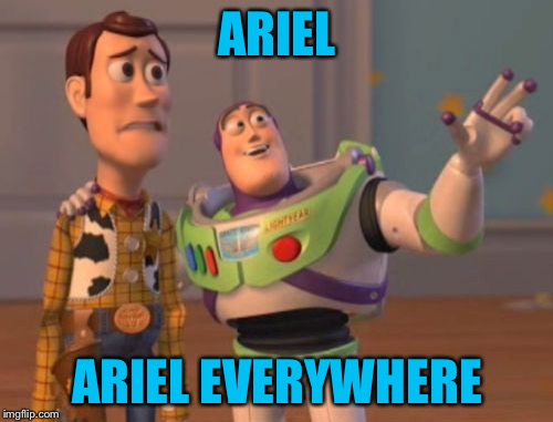 X, X Everywhere Meme | ARIEL ARIEL EVERYWHERE | image tagged in memes,x x everywhere | made w/ Imgflip meme maker