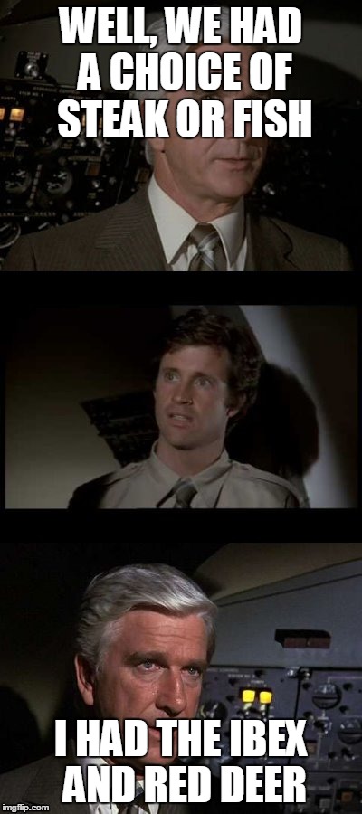 Airplane | WELL, WE HAD A CHOICE OF STEAK OR FISH; I HAD THE IBEX AND RED DEER | image tagged in airplane | made w/ Imgflip meme maker