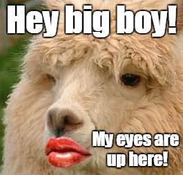 Hey big boy! My eyes are up here! | made w/ Imgflip meme maker