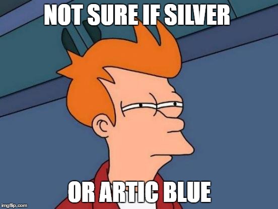 Futurama Fry Meme | NOT SURE IF SILVER; OR ARTIC BLUE | image tagged in memes,futurama fry | made w/ Imgflip meme maker
