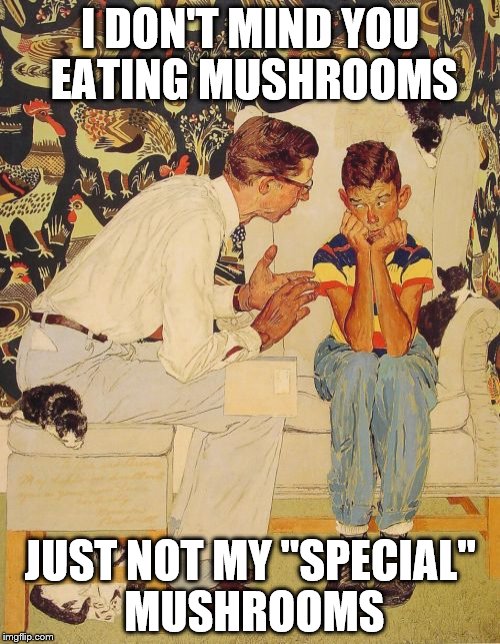Wait until he puts them in the stew... | I DON'T MIND YOU EATING MUSHROOMS; JUST NOT MY "SPECIAL" MUSHROOMS | image tagged in memes,the problem is | made w/ Imgflip meme maker