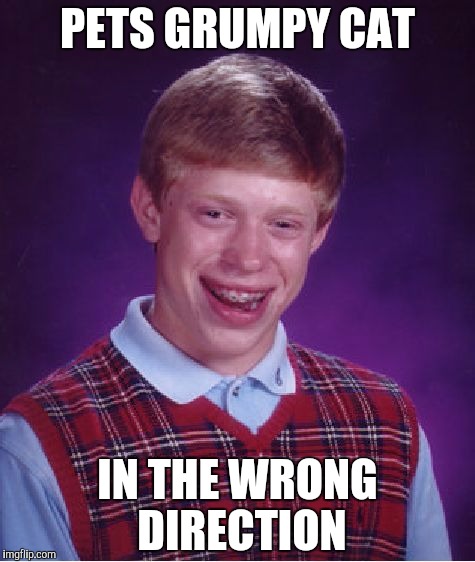 Bad Luck Brian Meme | PETS GRUMPY CAT IN THE WRONG DIRECTION | image tagged in memes,bad luck brian | made w/ Imgflip meme maker