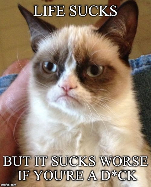 Grumpy Cat Meme | LIFE SUCKS BUT IT SUCKS WORSE IF YOU'RE A D*CK | image tagged in memes,grumpy cat | made w/ Imgflip meme maker