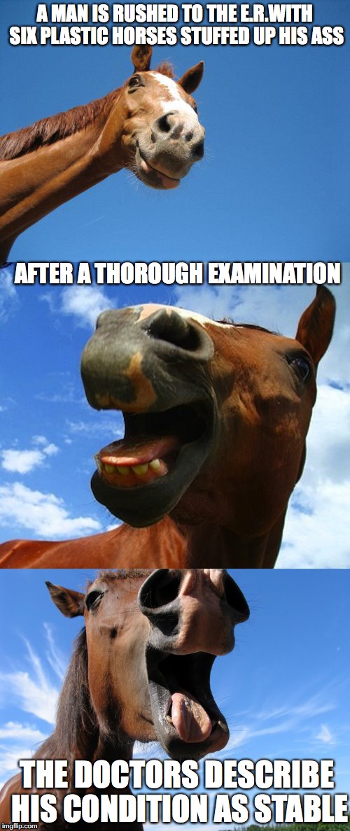 Horsing Around With Bad Puns | A MAN IS RUSHED TO THE E.R.WITH SIX PLASTIC HORSES STUFFED UP HIS ASS; AFTER A THOROUGH EXAMINATION; THE DOCTORS DESCRIBE HIS CONDITION AS STABLE | image tagged in just horsing around,nsfw | made w/ Imgflip meme maker