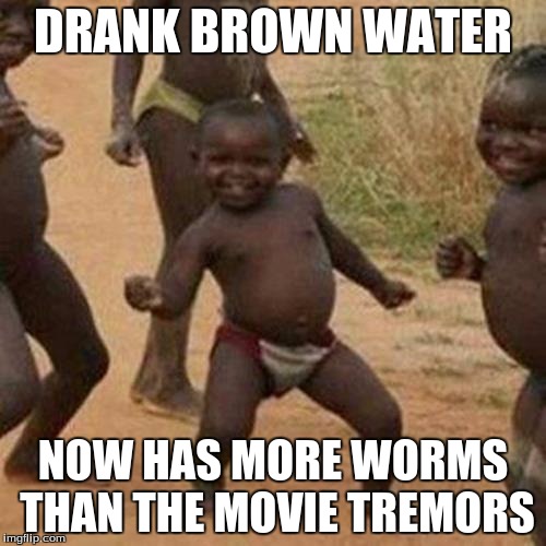 Third World Success Kid | DRANK BROWN WATER; NOW HAS MORE WORMS THAN THE MOVIE TREMORS | image tagged in memes,third world success kid | made w/ Imgflip meme maker