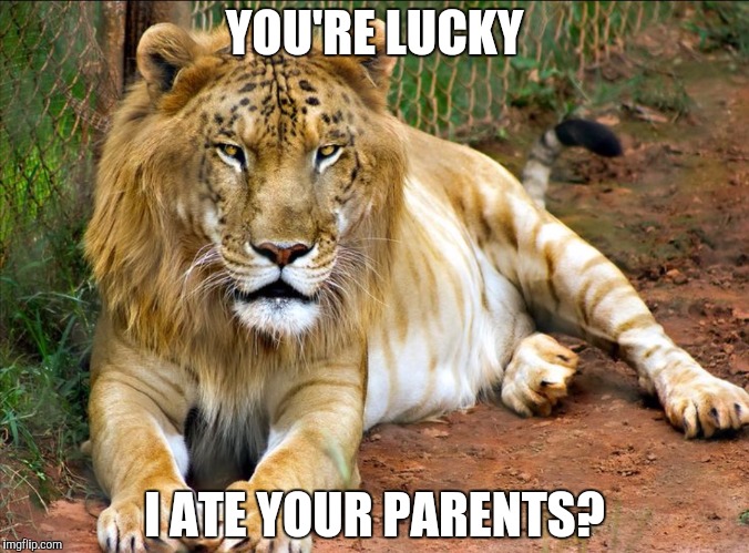 LEOPON | YOU'RE LUCKY I ATE YOUR PARENTS? | image tagged in leopon | made w/ Imgflip meme maker