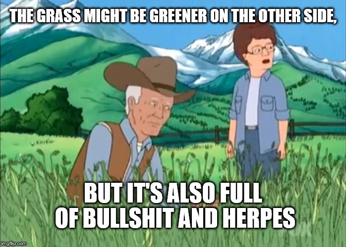 The Grass Might Be Greener... | THE GRASS MIGHT BE GREENER ON THE OTHER SIDE, BUT IT'S ALSO FULL OF BULLSHIT AND HERPES | image tagged in grass,weed,memes,relationships,herpes | made w/ Imgflip meme maker