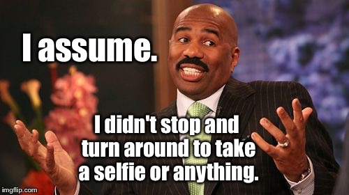 Steve Harvey Meme | I assume. I didn't stop and turn around to take a selfie or anything. | image tagged in memes,steve harvey | made w/ Imgflip meme maker