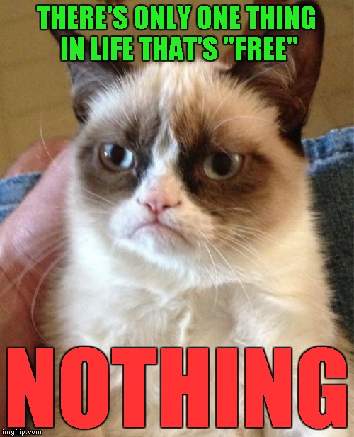 Grumpy Cat Meme | THERE'S ONLY ONE THING IN LIFE THAT'S "FREE"; NOTHING | image tagged in memes,grumpy cat | made w/ Imgflip meme maker