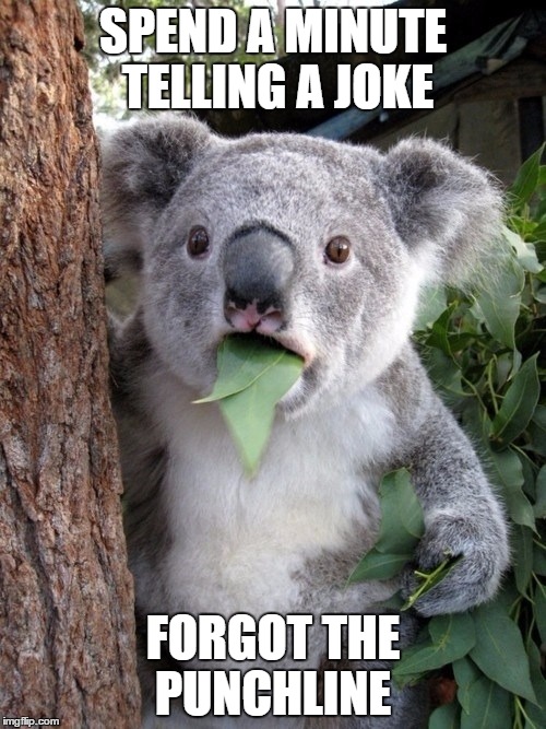 Stupid moment coala | SPEND A MINUTE TELLING A JOKE; FORGOT THE PUNCHLINE | image tagged in memes,surprised coala,joke | made w/ Imgflip meme maker