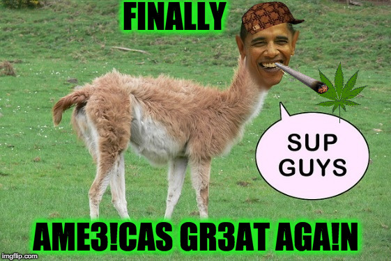 FINALLY; AME3!CAS GR3AT AGA!N | image tagged in barrack o'llama,scumbag | made w/ Imgflip meme maker