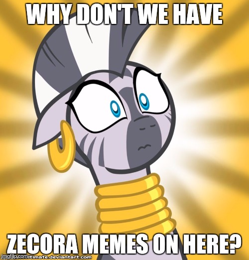 WHY DON'T WE HAVE; ZECORA MEMES ON HERE? | image tagged in shocked zecora | made w/ Imgflip meme maker