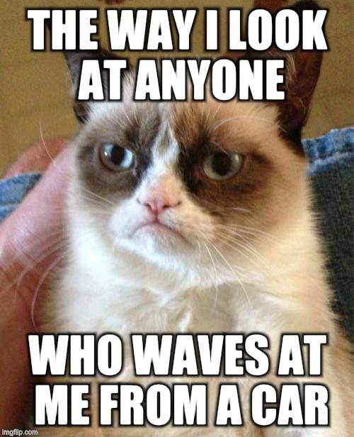 Grumpy Cat | THE WAY I LOOK AT ANYONE; WHO WAVES AT ME FROM A CAR | image tagged in memes,grumpy cat | made w/ Imgflip meme maker