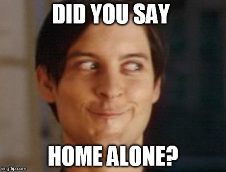 Spiderman Peter Parker | DID YOU SAY; HOME ALONE? | image tagged in memes,spiderman peter parker | made w/ Imgflip meme maker