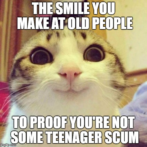The smile you make | THE SMILE YOU MAKE AT OLD PEOPLE; TO PROOF YOU'RE NOT SOME TEENAGER SCUM | image tagged in memes,smiling cat | made w/ Imgflip meme maker