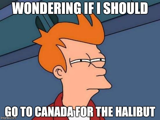 Futurama Fry Meme | WONDERING IF I SHOULD GO TO CANADA FOR THE HALIBUT | image tagged in memes,futurama fry | made w/ Imgflip meme maker