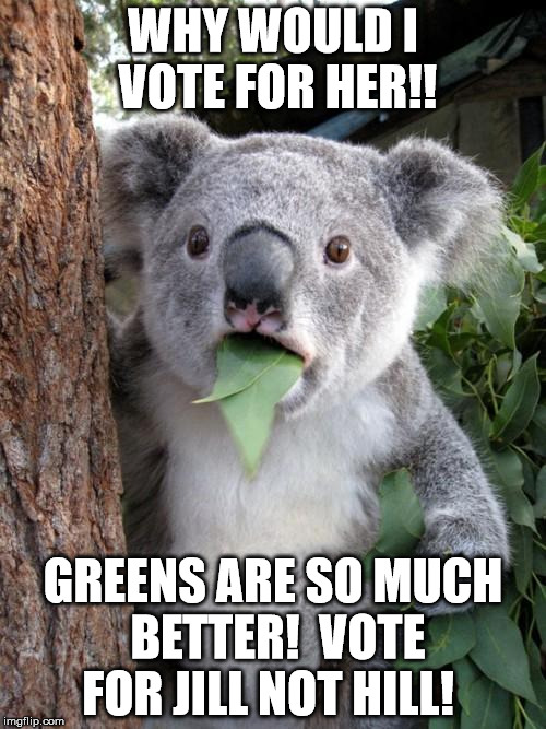 Surprised Koala | WHY WOULD I VOTE FOR HER!! GREENS ARE SO MUCH BETTER!  VOTE FOR JILL NOT HILL! | image tagged in memes,surprised koala | made w/ Imgflip meme maker