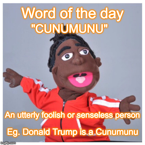 Lexo TV Santana | Word of the day; "CUNUMUNU"; An utterly foolish or senseless person; Eg. Donald Trump is a Cunumunu | image tagged in lexo tv santana | made w/ Imgflip meme maker