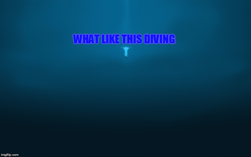 WHAT LIKE THIS DIVING | made w/ Imgflip meme maker