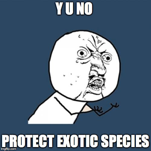 Y U No Meme | Y U NO; PROTECT EXOTIC SPECIES | image tagged in memes,y u no | made w/ Imgflip meme maker