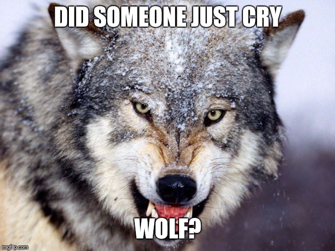 Wolf | DID SOMEONE JUST CRY; WOLF? | image tagged in wolf | made w/ Imgflip meme maker