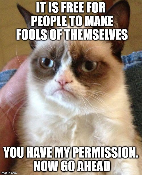 Grumpy Cat Meme | IT IS FREE FOR PEOPLE TO MAKE FOOLS OF THEMSELVES YOU HAVE MY PERMISSION. NOW GO AHEAD | image tagged in memes,grumpy cat | made w/ Imgflip meme maker