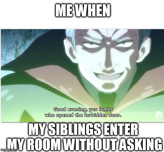 Privacy is a fundamental human right. Or if it's not, it should be! | ME WHEN; MY SIBLINGS ENTER MY ROOM WITHOUT ASKING | image tagged in meme,privacy,hetalia,siblings,room,permission | made w/ Imgflip meme maker