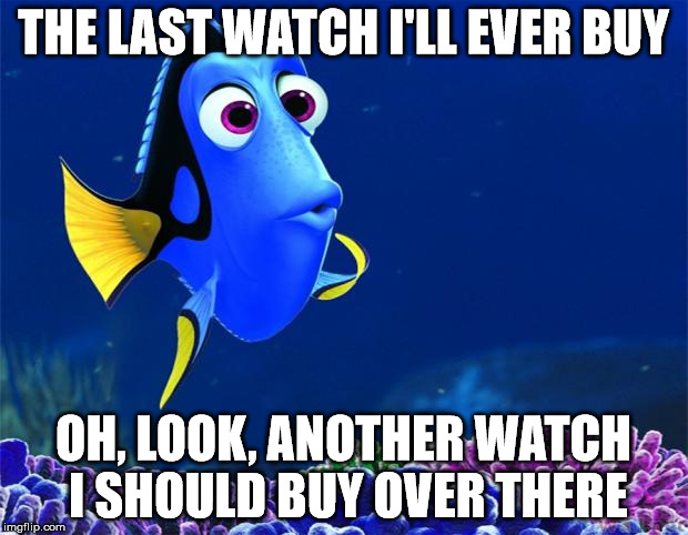 Dory | THE LAST WATCH I'LL EVER BUY; OH, LOOK, ANOTHER WATCH I SHOULD BUY OVER THERE | image tagged in dory | made w/ Imgflip meme maker