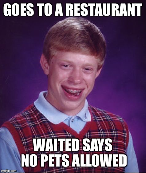 Bad Luck Brian Meme | GOES TO A RESTAURANT WAITED SAYS NO PETS ALLOWED | image tagged in memes,bad luck brian | made w/ Imgflip meme maker