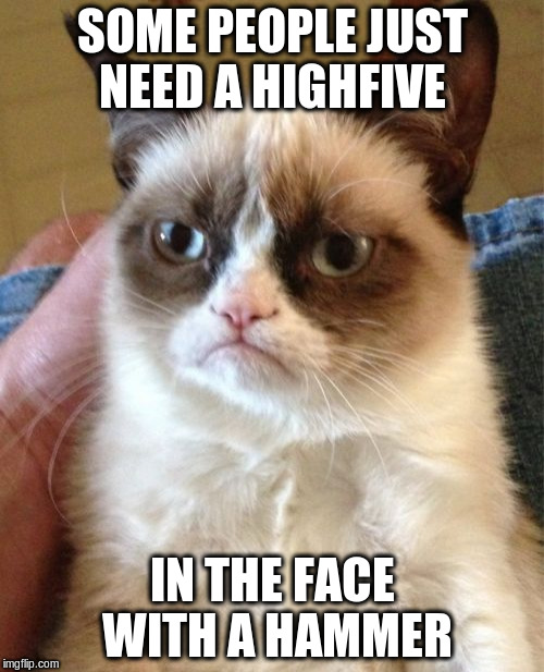 Grumpy Cat | SOME PEOPLE JUST NEED A HIGHFIVE; IN THE FACE WITH A HAMMER | image tagged in memes,grumpy cat | made w/ Imgflip meme maker