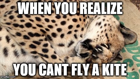 WHEN YOU REALIZE; YOU CANT FLY A KITE | image tagged in when you realize | made w/ Imgflip meme maker