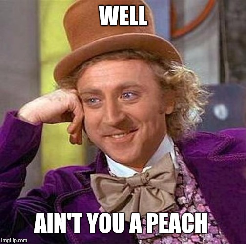 Creepy Condescending Wonka Meme | WELL AIN'T YOU A PEACH | image tagged in memes,creepy condescending wonka | made w/ Imgflip meme maker