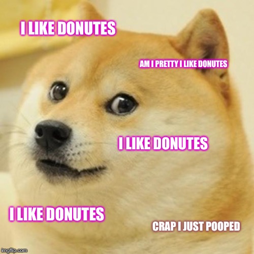 Doge | I LIKE DONUTES; AM I PRETTY I LIKE DONUTES; I LIKE DONUTES; I LIKE DONUTES; CRAP I JUST POOPED | image tagged in memes,doge | made w/ Imgflip meme maker