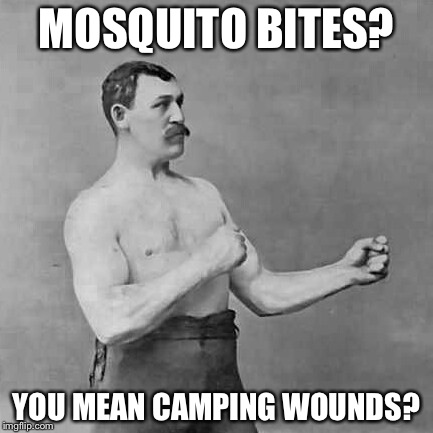 Overly manly man | MOSQUITO BITES? YOU MEAN CAMPING WOUNDS? | image tagged in overly manly man | made w/ Imgflip meme maker