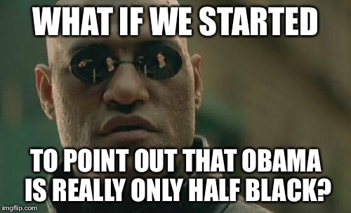 Time To Throw Barry Under The Bus | WHAT IF WE STARTED; TO POINT OUT THAT OBAMA IS REALLY ONLY HALF BLACK? | image tagged in memes,matrix morpheus | made w/ Imgflip meme maker