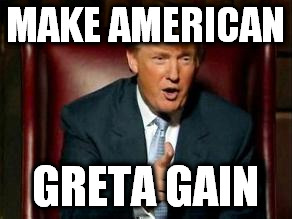 Donald Trump | MAKE AMERICAN; GRETA GAIN | image tagged in donald trump | made w/ Imgflip meme maker