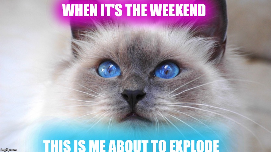 Weekend is here :D | WHEN IT'S THE WEEKEND; THIS IS ME ABOUT TO EXPLODE | image tagged in memes | made w/ Imgflip meme maker