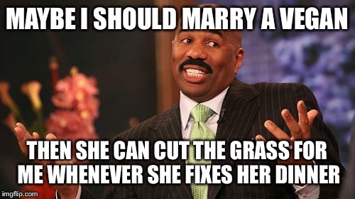 Steve Harvey Meme | MAYBE I SHOULD MARRY A VEGAN; THEN SHE CAN CUT THE GRASS FOR ME WHENEVER SHE FIXES HER DINNER | image tagged in memes,steve harvey | made w/ Imgflip meme maker