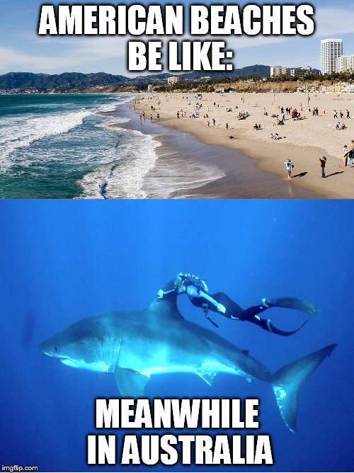 Australian Beaches | AMERICAN BEACHES BE LIKE:; MEANWHILE IN AUSTRALIA | image tagged in beach,shark,meanwhile in australia | made w/ Imgflip meme maker