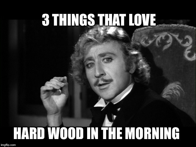 Dr. Frankenstein | HARD WOOD IN THE MORNING 3 THINGS THAT LOVE | image tagged in dr frankenstein | made w/ Imgflip meme maker