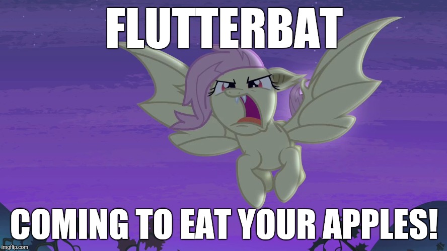 Flutter Memes