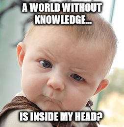 All but Nothing | A WORLD WITHOUT KNOWLEDGE... IS INSIDE MY HEAD? | image tagged in memes,skeptical baby | made w/ Imgflip meme maker