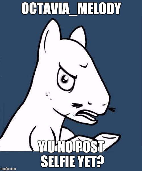 y u no pony | OCTAVIA_MELODY Y U NO POST SELFIE YET? | image tagged in y u no pony | made w/ Imgflip meme maker