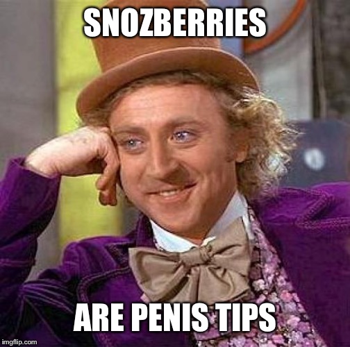 Creepy Condescending Wonka Meme | SNOZBERRIES ARE P**IS TIPS | image tagged in memes,creepy condescending wonka | made w/ Imgflip meme maker