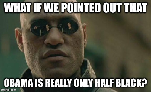 Matrix Morpheus Meme | WHAT IF WE POINTED OUT THAT OBAMA IS REALLY ONLY HALF BLACK? | image tagged in memes,matrix morpheus | made w/ Imgflip meme maker