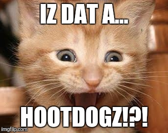 Excited Cat | IZ DAT A... HOOTDOGZ!?! | image tagged in memes,excited cat | made w/ Imgflip meme maker