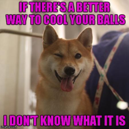 IF THERE'S A BETTER WAY TO COOL YOUR BALLS I DON'T KNOW WHAT IT IS | made w/ Imgflip meme maker