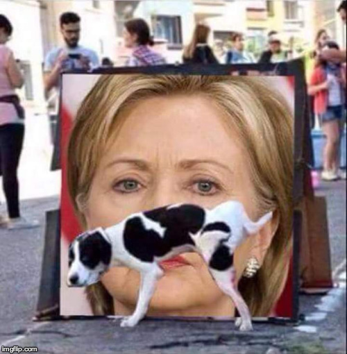 Dog Peeing On HIllary Clinton | image tagged in dog peeing on hillary clinton | made w/ Imgflip meme maker