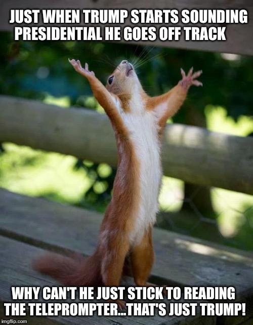 Happy Squirrel | JUST WHEN TRUMP STARTS SOUNDING PRESIDENTIAL HE GOES OFF TRACK; WHY CAN'T HE JUST STICK TO READING THE TELEPROMPTER...THAT'S JUST TRUMP! | image tagged in happy squirrel | made w/ Imgflip meme maker